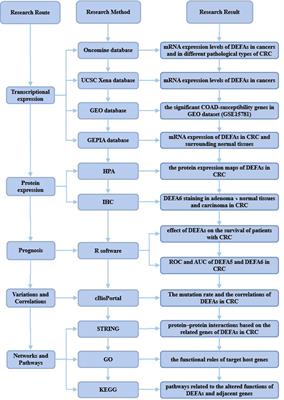 Comprehensive analysis of alfa defensin expression and prognosis in human colorectal cancer